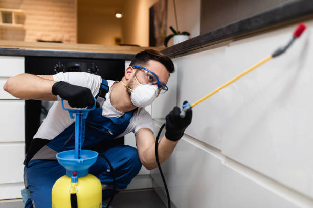 Best Pest Control Near Me  in Sterling, VA