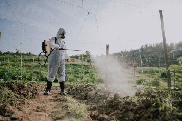 Insect Control in Sterling, VA
