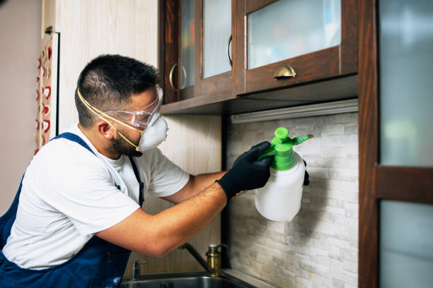 Best Rat Extermination Near Me  in Sterling, VA