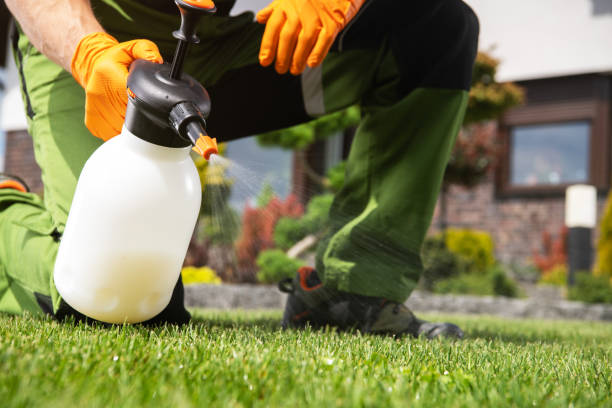 Best Best Pest Control Companies  in Sterling, VA