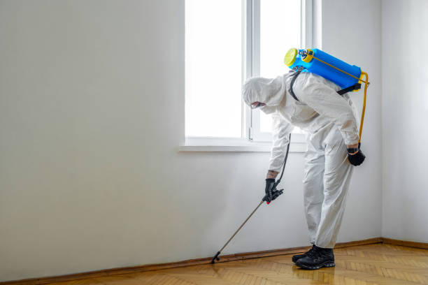 Best Pest Control Near Me  in Sterling, VA