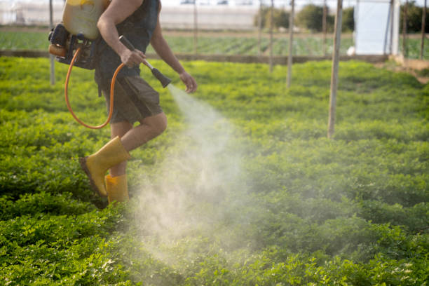 Reliable Sterling, VA Pest Control Solutions