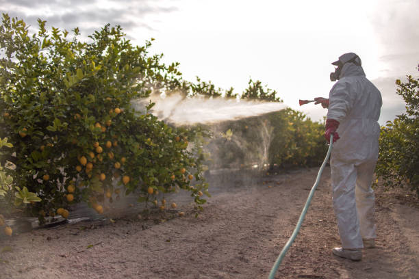 Best Pest Control for Homes  in Sterling, VA